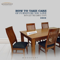 Woodpert (Set of 2) premium dining chairs wooden